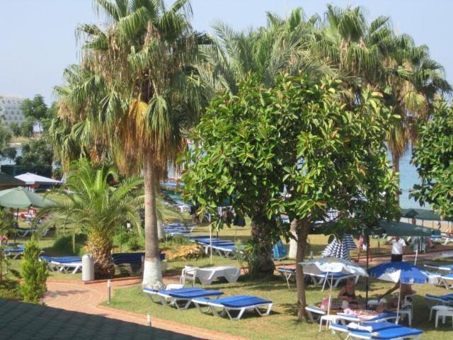 Venessa Beach Hotel Avsallar Exterior foto